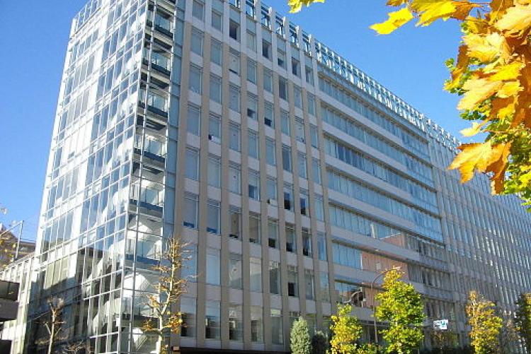 広尾学園インターAG 国際生 2025年9月編入 合格報告