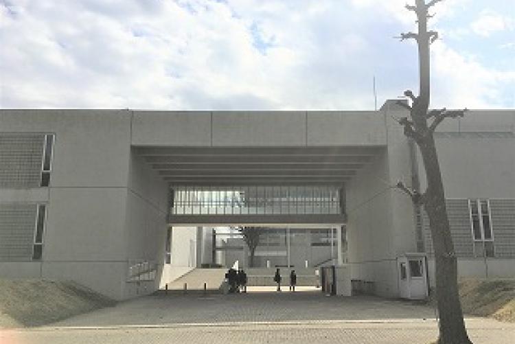 海城 聖光学院 洗足 頌栄 帰国生入試・SFC３科入試対策 夏期集中講座