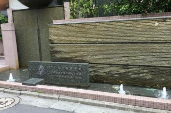 Shibushibu